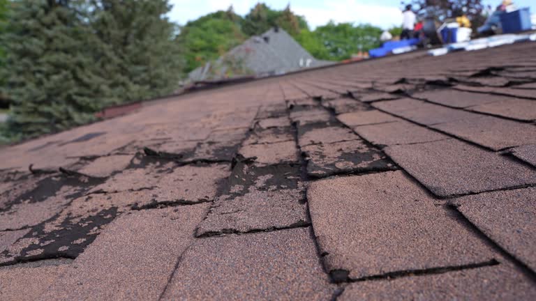 Fast & Reliable Emergency Roof Repairs in Hillsboro, WI